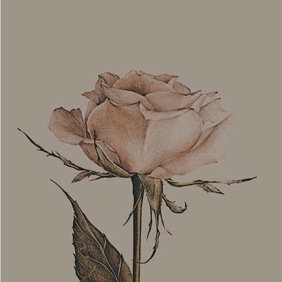 Meet your Posher, The Add to cart girls. - Picture 1 of 1